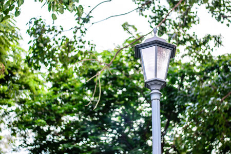 lightning post over treeの写真素材