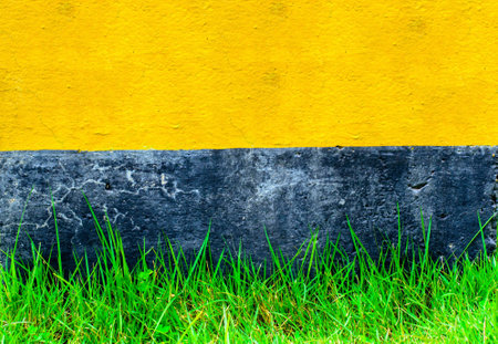 Yellow and black wall on the green grass, selective focus point.の写真素材