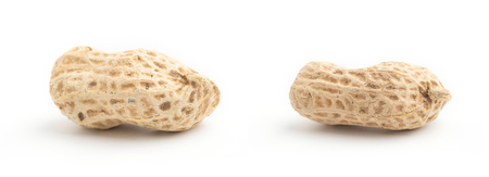 Peanuts isolated on white background. Peanut macro.の写真素材