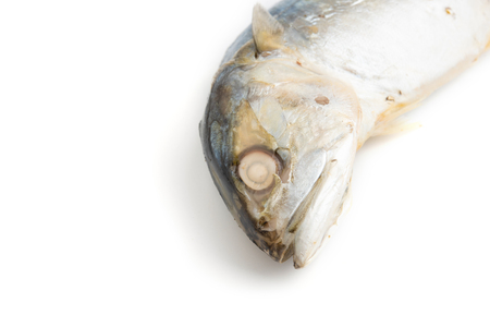 Fresh mackerel isolated on white background.の写真素材