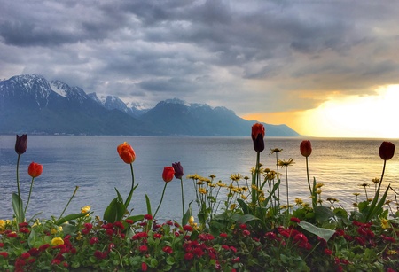 Sunset on the lake in Montreuxの素材