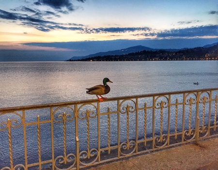 Sunset on the lake in Montreuxの素材