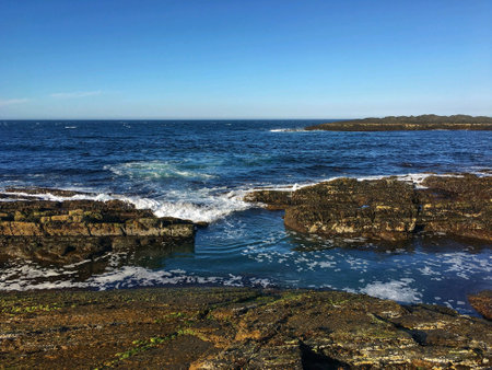 Arctic ocean shoreの素材