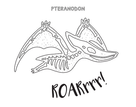 プテラノドンの写真 イラスト素材一覧 1 019件 ストックフォトのamanaimages Plus