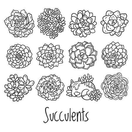 Hand drawn succulent set with cat. Cactus circle collection in outline. Vector illustrationのイラスト素材