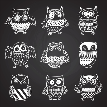 Cartoon owls in chalkboard background. Vector illustrationのイラスト素材