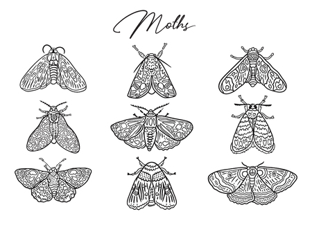 Ink butterflies and moths collection. Hand drawn vector illustration. Ideal for coloring printのイラスト素材