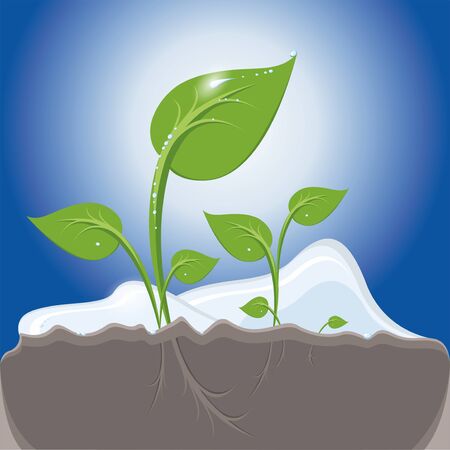 Fresh green sprouts in the ground with lights.の写真素材