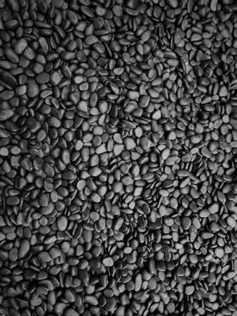 Black rock on ground texture background