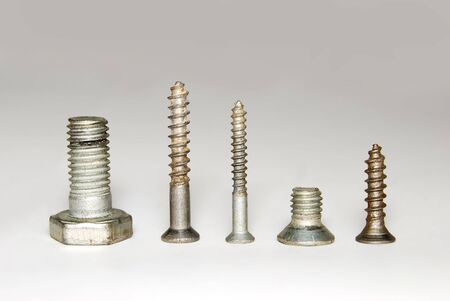 Set of screws of the various size and the form.