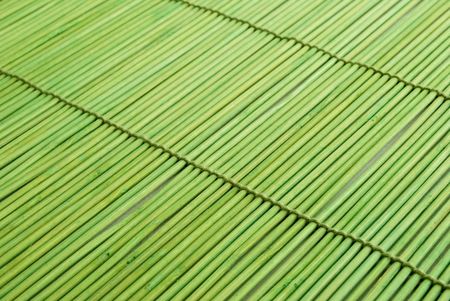 Bright green bamboo rug for a sushi.の写真素材