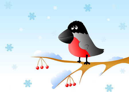 The bullfinch, is sitting on a rowan branchのイラスト素材