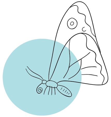butterfly is isolated on a white backgroundのイラスト素材