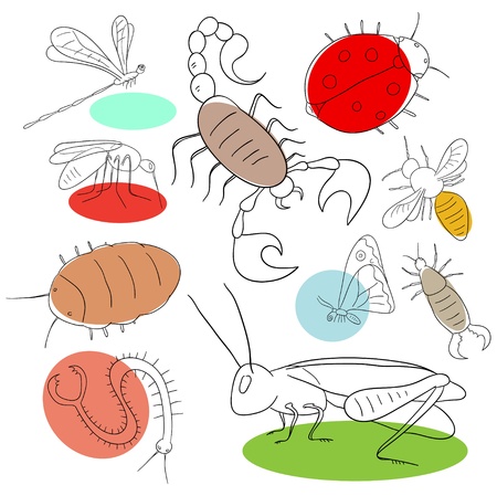 Insect collection are isolated on a white backgroundのイラスト素材