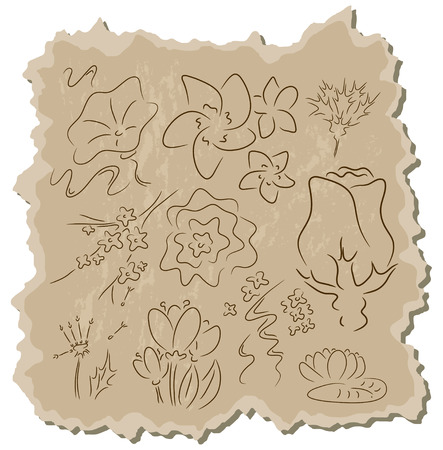 Flowers collection on a brown cardboard backgroundのイラスト素材
