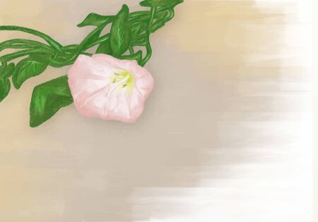 Vector bindweed flower on a pastel brown backgroundのイラスト素材