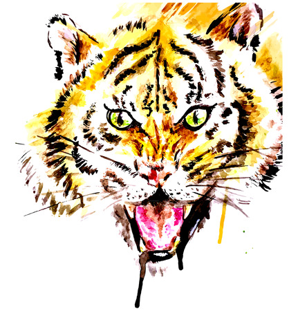 Vector watercolor grunge tiger with open mouthのイラスト素材