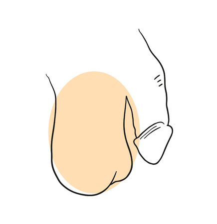 Vector doodle penis on a white backgroundのイラスト素材