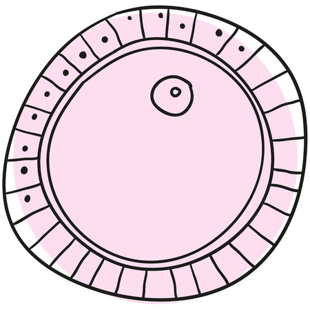 Vector human ovum on a white backgroundのイラスト素材