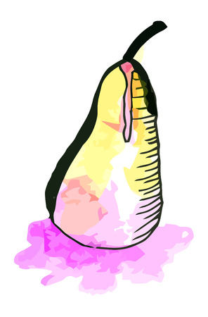 Vector watercolor pear in wine on a whie backgroundのイラスト素材