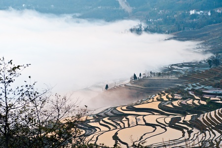 China Yunnan, Yuanyang terraced colorの写真素材