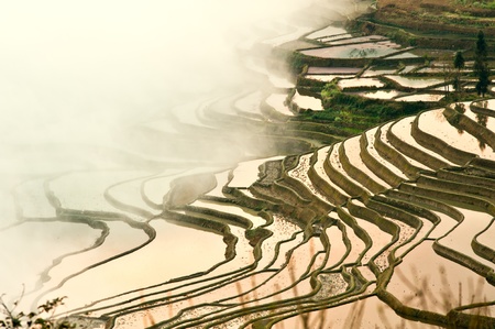 China Yunnan, Yuanyang terraced colorの写真素材