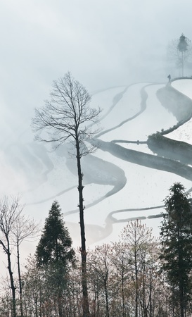 China Yunnan, Yuanyang terraced colorの写真素材