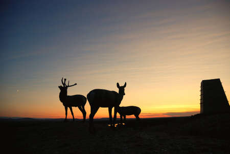 Xinjiang, China, KALAS Lake at duskの写真素材