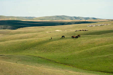 China Xinjiang Tianshan, pasture の写真素材
