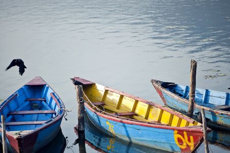 Bright colored wooden boats in Pokharaの写真素材