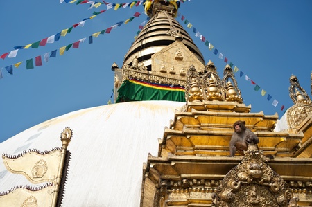 Swayambhunath Stupa - the holiest stupa of tibetan buddhism  vajrayana   Kathmandu, Nepalの写真素材