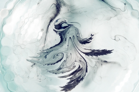 Ink, Bird, Phoenixの写真素材