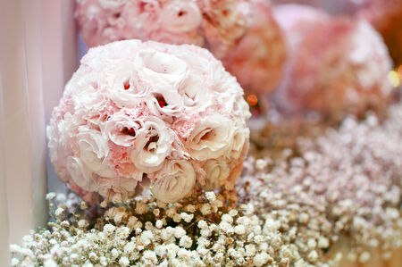 White flowersの写真素材