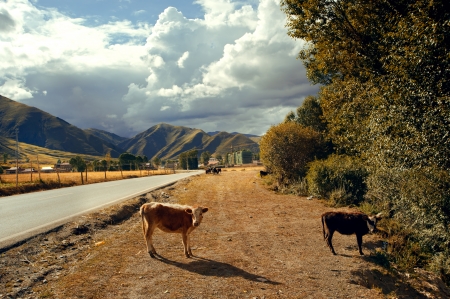 Auto background, plateau highwayの写真素材