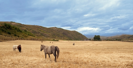 Highlands Ranchのeditorial素材