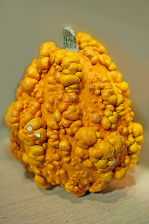  variety of fruits and vegetablesの写真素材