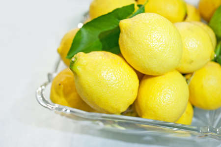 Yellow lemonの写真素材