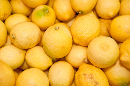 Yellow lemonの写真素材
