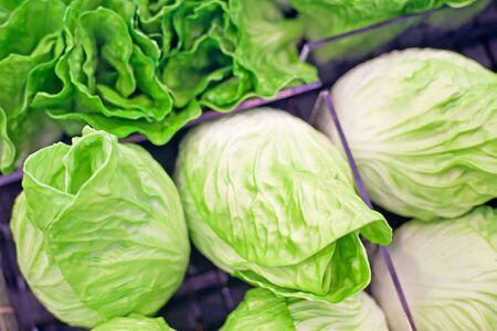 Fresh vegetables on the shelvesの写真素材