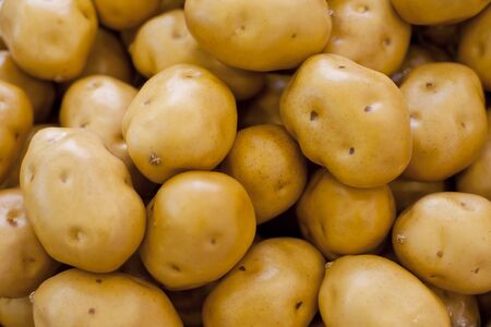 Fresh vegetables, potatoesの写真素材