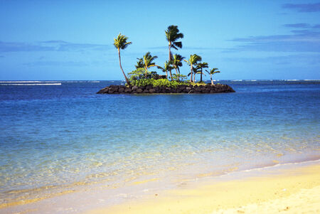 Blue sea beach and coconut treesの写真素材