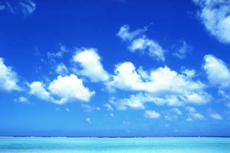 Blue sea beach and coconut treesの写真素材
