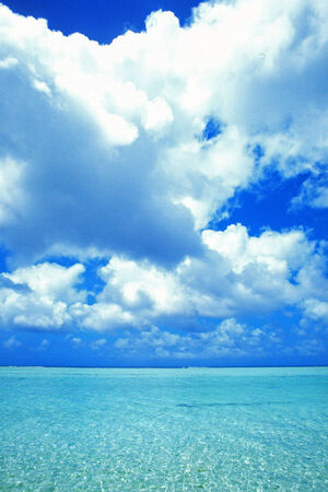 Blue sea beach and coconut treesの写真素材