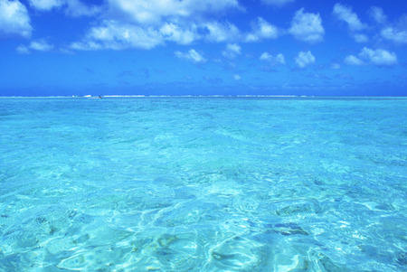 Blue sea beach and coconut treesの写真素材