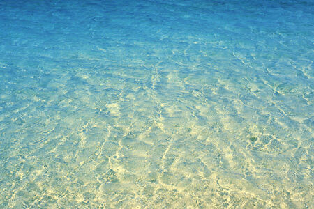 Blue sea beach and coconut treesの写真素材