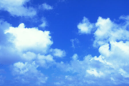 Blue sea beach and coconut treesの写真素材