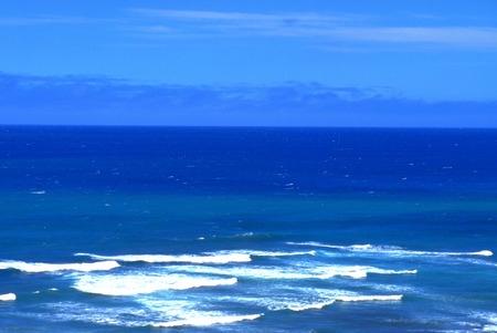 Blue sea beach and coconut treesの写真素材