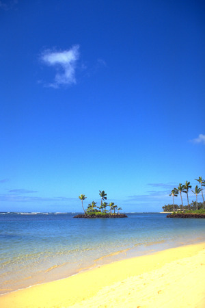 Blue sea beach and coconut treesの写真素材