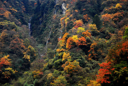 Autumn leaves mountainsの写真素材