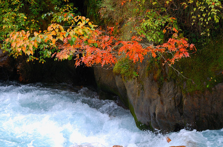 Autumn leaves mountainsの写真素材